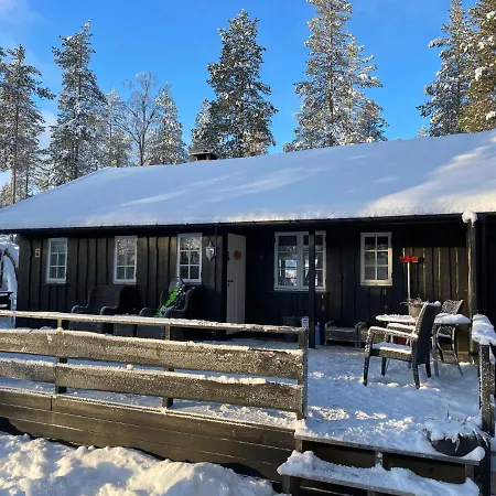 The Cabin Rolf In *