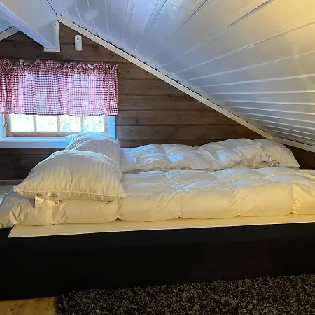 The Cabin Rolf In